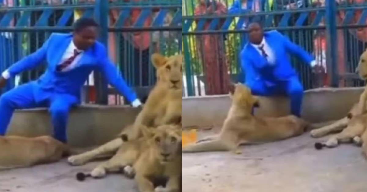 Pastor quiso 'demostrar su fe' en jaula de leones y le mordieron el brazo