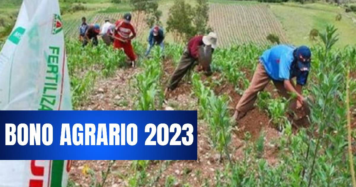 Bono Agrario 2023, LINK consulta con DNI: ¿Habrá un nuevo pago en octubre?