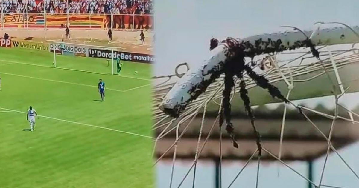 Panal de abejas se implantó en el arco de Alianza Atlético en pleno juego con Grau 