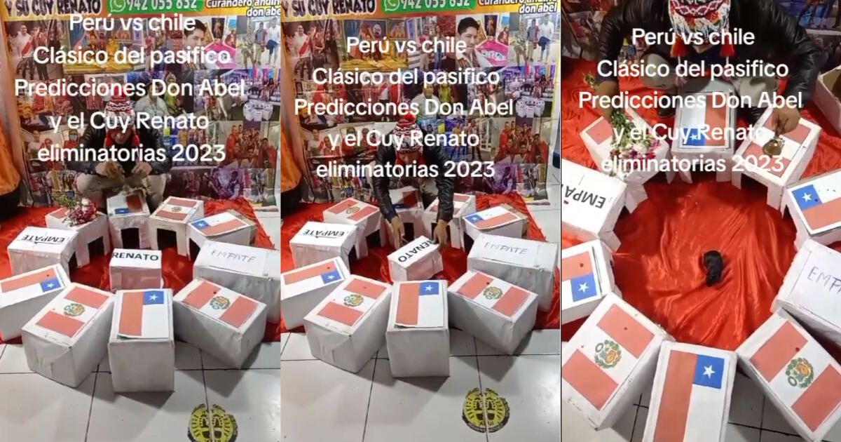 ¿Perú o Chile? Cuy 'Renato' lanza predicción del ganador para partido de hoy