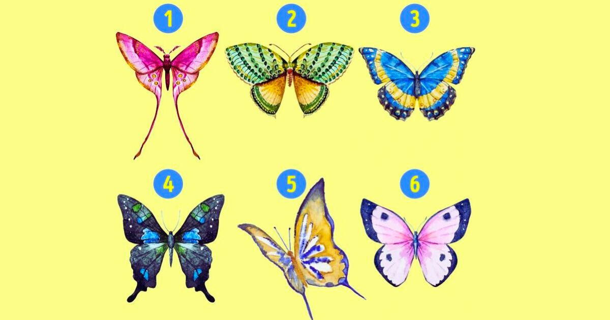 ¿Cuál es tu esencia?: Elige una mariposa, conoce lo que llevas dentro e impacta a los demás
