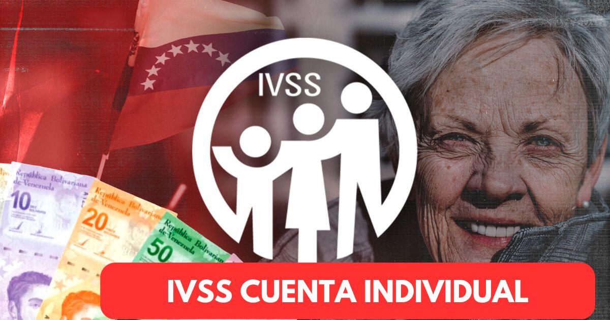 IVSS Pension Payment 2023: How to check my individual account?