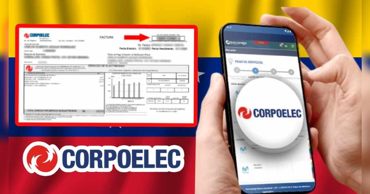 Corpoelec factura en línea: Pasos para consultar tu saldo solo con tu NIC