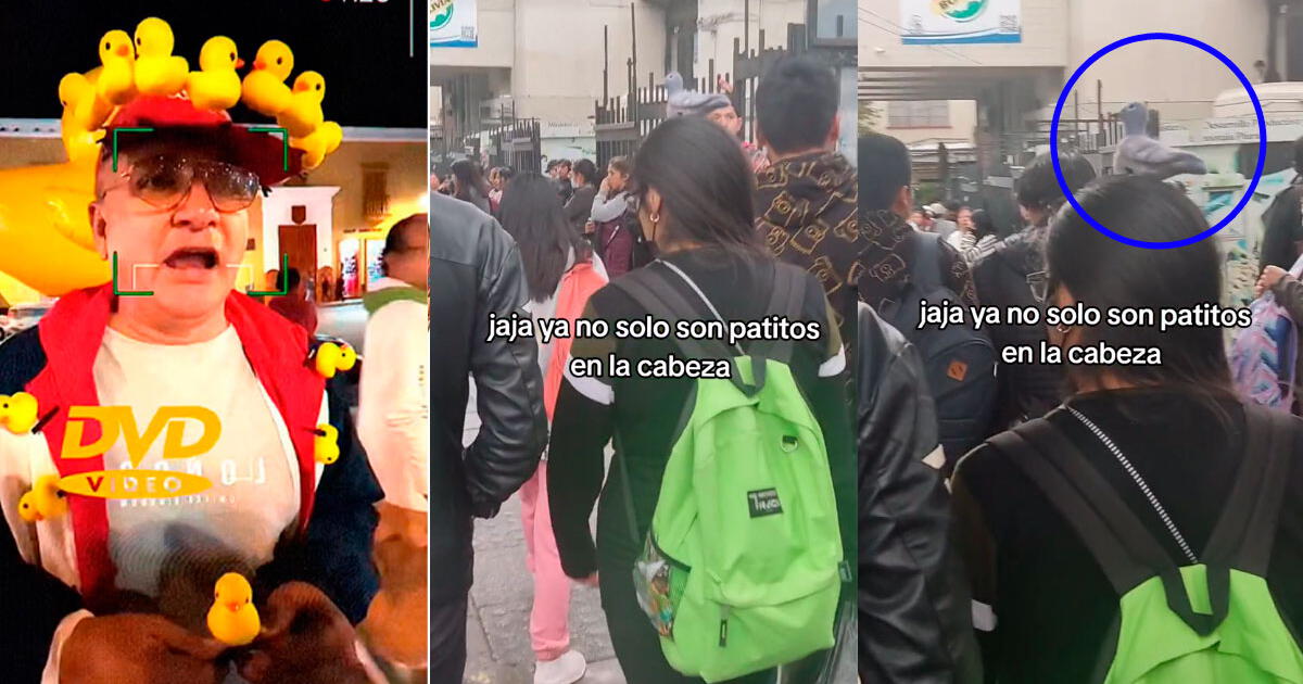 Patitos Kawai ya pasaron de moda: joven lleva paloma en la cabeza y causa furor en TikTok