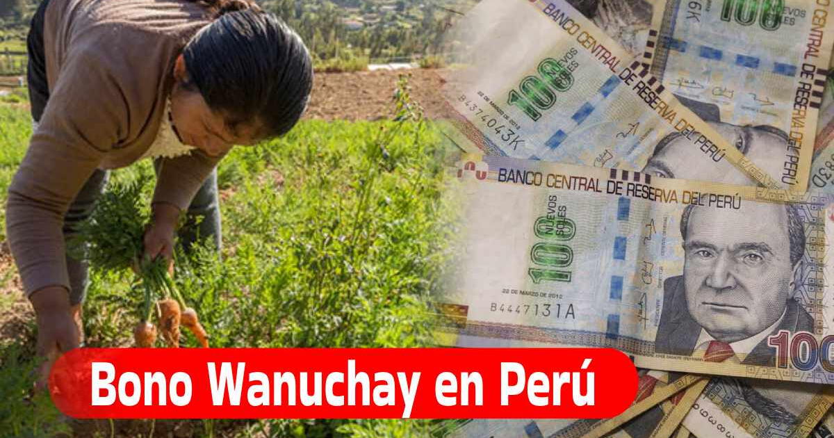 Bono Wanuchay en el Perú: ¿qué es y todavía se puede cobrar?