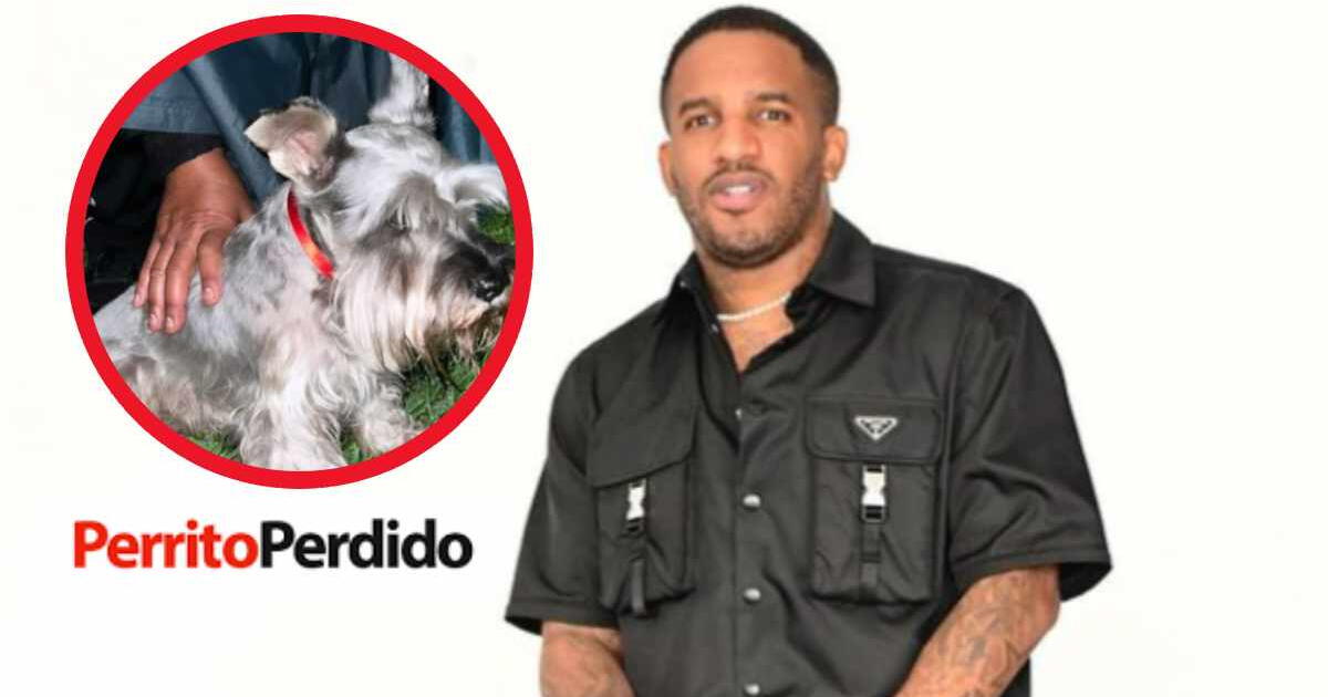Jefferson Farfán rescata perrito perdido y fans resaltan noble gesto