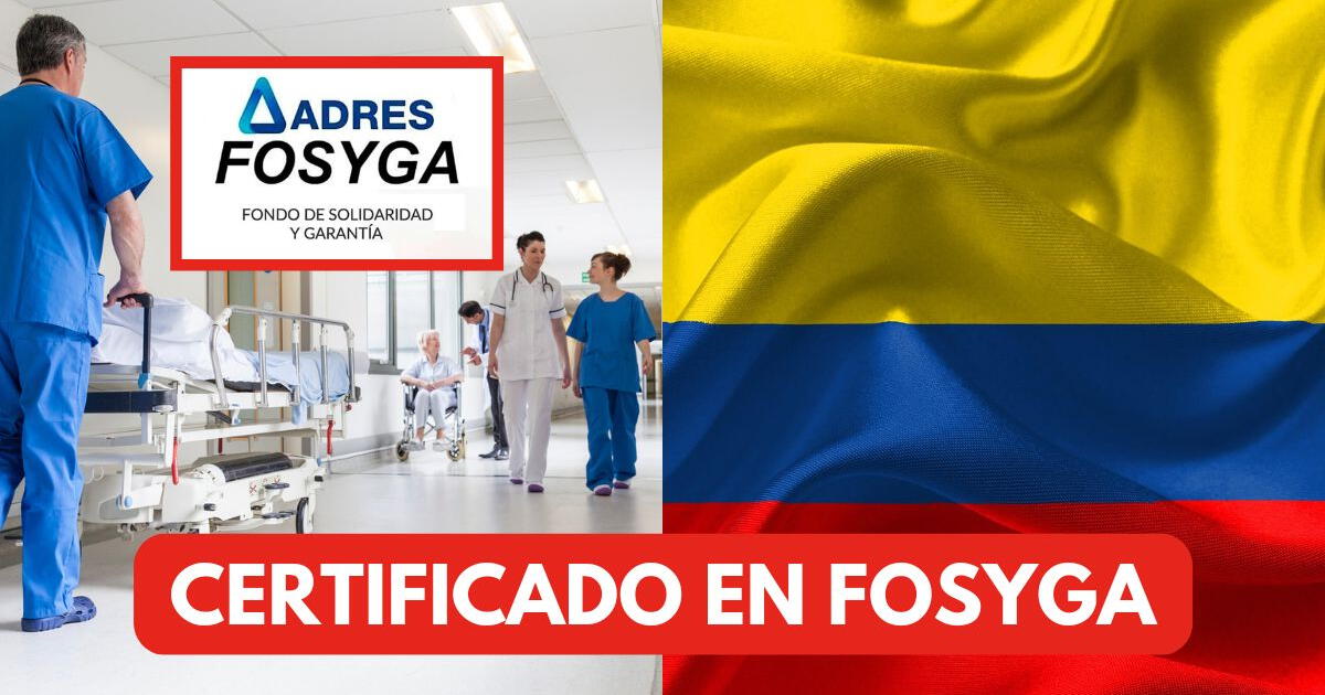 FOSYGA en Colombia: qué es y cómo descargar el certificado de seguridad social