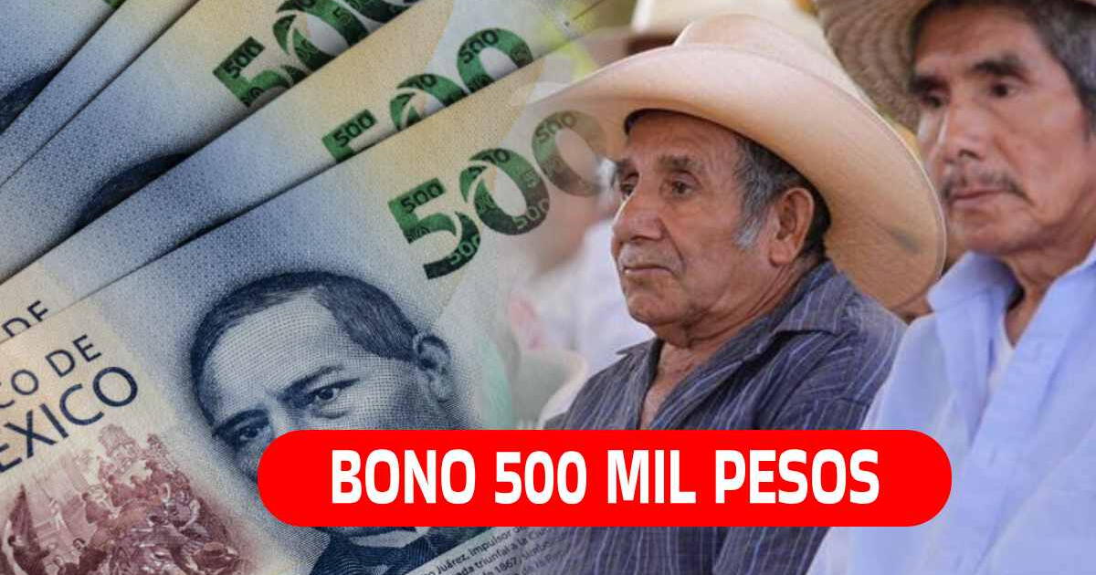 Bono de 500 mil pesos: ¿Cuál es el LINK para consultar si accedo al beneficio?