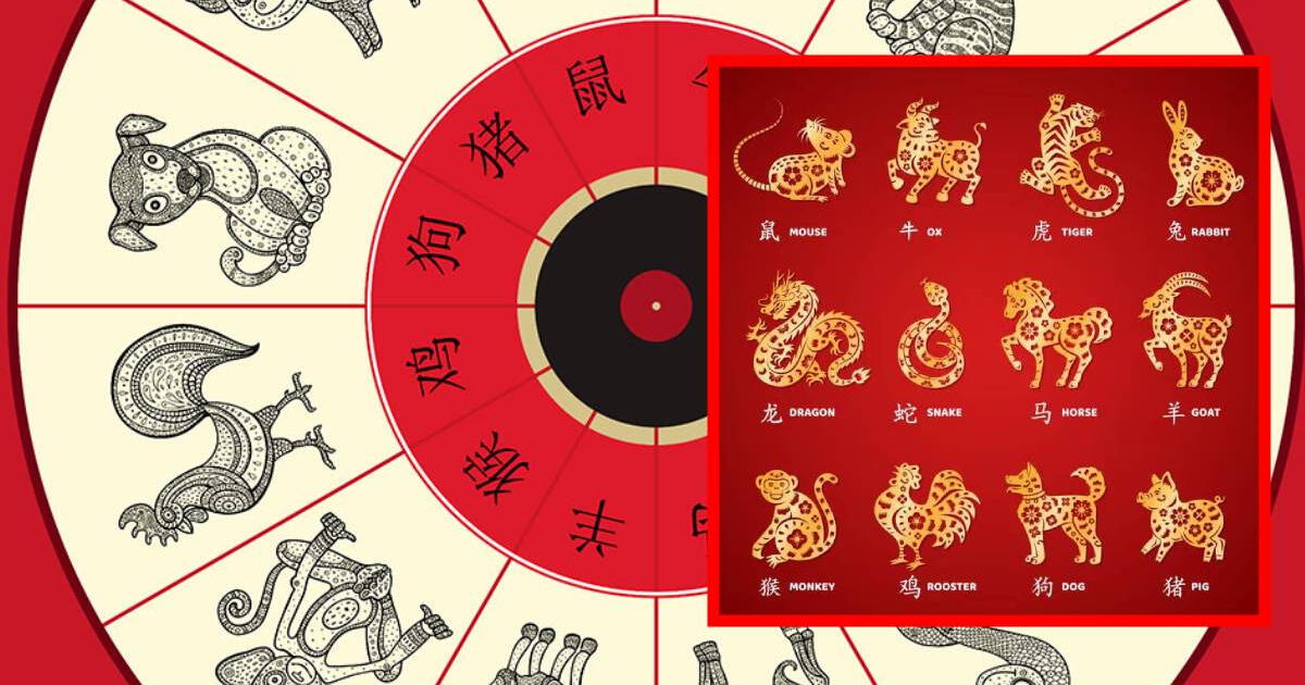 ¿Cómo calcular tu horóscopo chino para saber qué animal te representa?