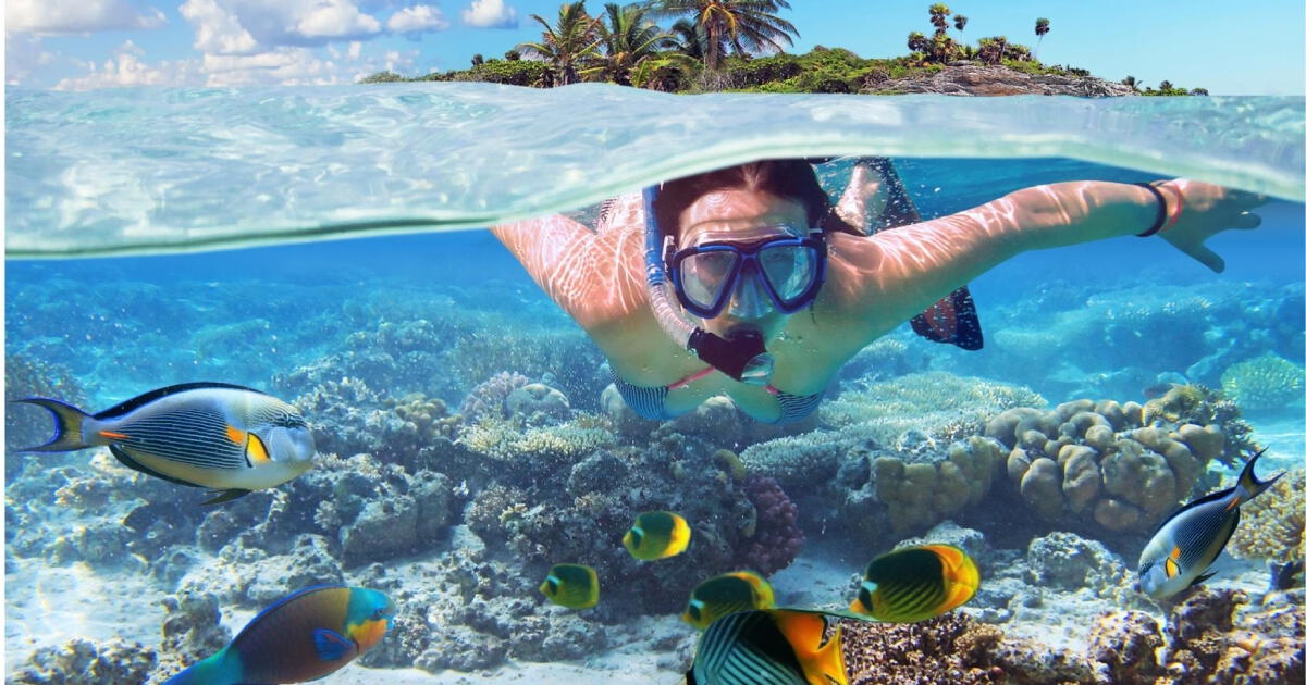 Estas son las cinco mejores playas para practicar snorkel gratuito en Aruba