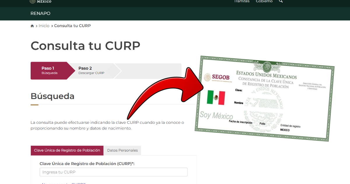 ¿Cómo descargar CURP gratis en PDF? Consulta e imprime el nuevo formato