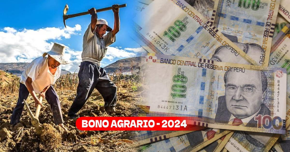 Bono Agrario 2024, Link de consulta DNI: ¿Se aprobó un nuevo pago del subsidio?