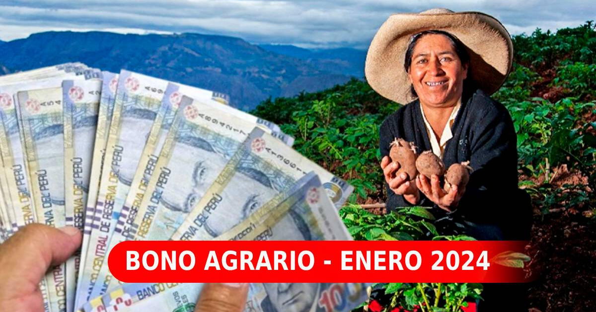 Bono Agrario, LINK para consultar: ¿Cobrarás hasta 7,447 soles del subsidio este 2024?
