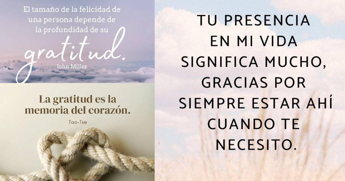 20 frases de agradecimiento y gratitud para enviar a alguien especial