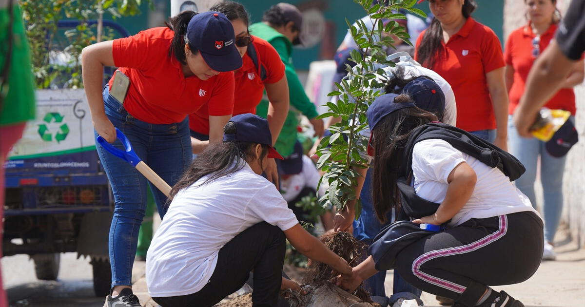 UCV entre las mejores universidades en sostenibilidad ambiental: RSAUP 2023 destaca su contribución al planeta