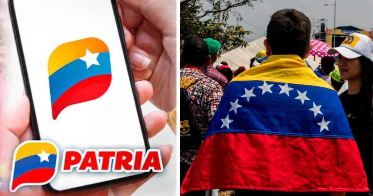 ¿Cómo activar los Bonos Patria de febrero 2024 en Venezuela?