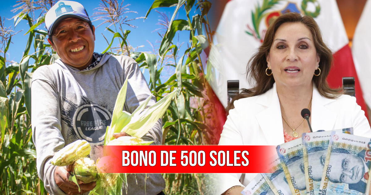 ¿Ya se paga el Bono de S/ 500 para productores agrarios en el Perú? Últimas noticias de HOY