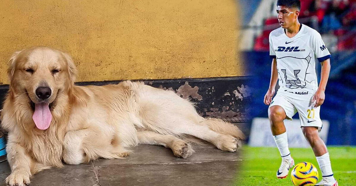¿Qué pasó con Drago, la mascota de Piero Quispe, tras el viaje del futbolista?