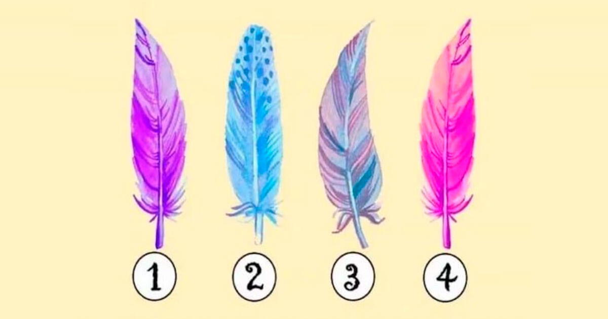 ¿Qué pluma te gusta más? Tu respuesta revelará el tipo de personalidad que ocultas