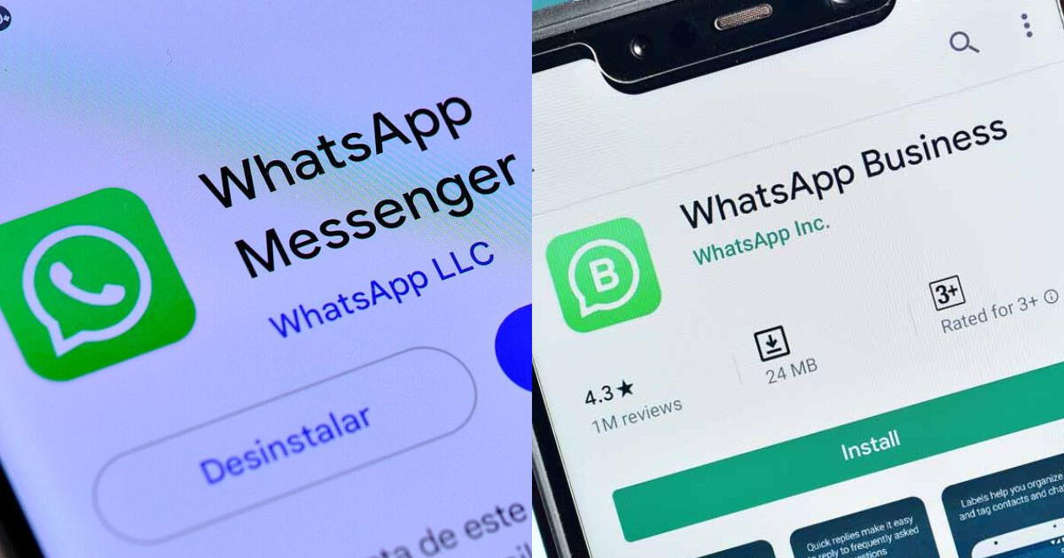 ¿Qué pasa si tengo WhatsApp y WhatsApp Business con el mismo número?