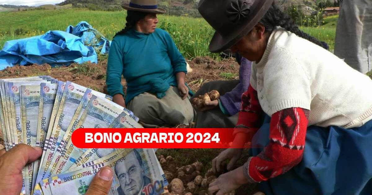 Bono Agrario 2024: ¿Hay un LINK de consulta para recibir hasta 2,350 soles?