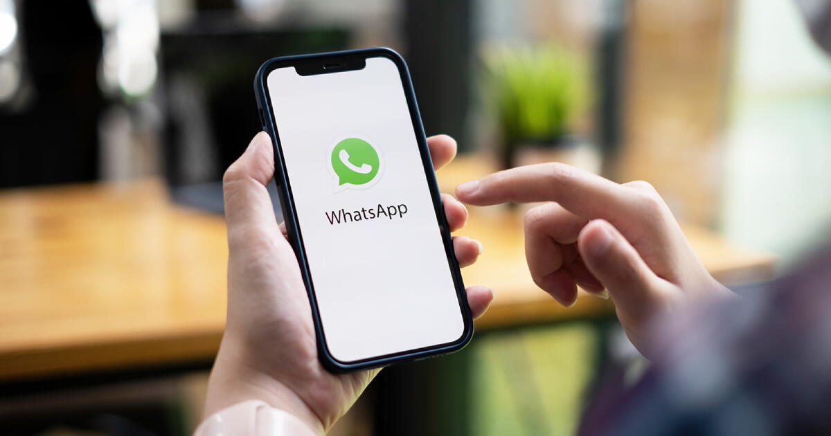 Cómo evitar que se GUARDEN las fotos de WhatsApp en celulares Android