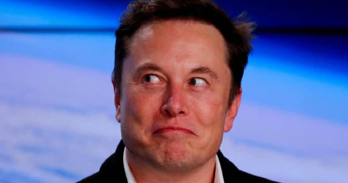 El insólito motivo por el que Elon Musk recomienda tener muchos hijos