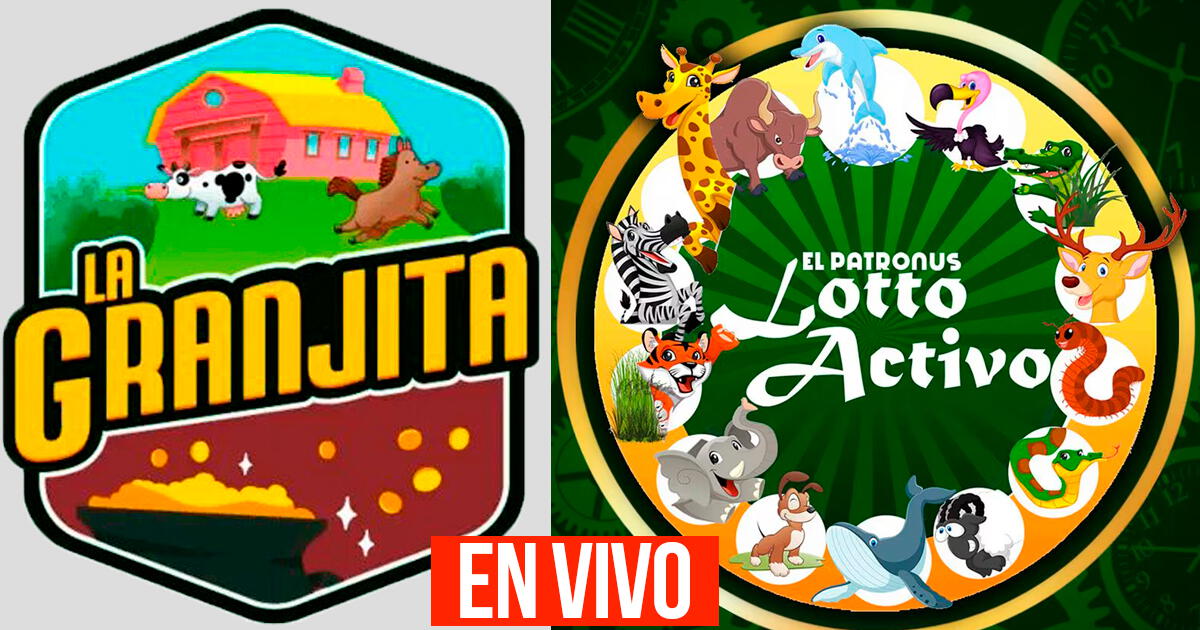 Resultados del Lotto Activo y la Granjita: Mira los datos explosivos de HOY, 26 de abril