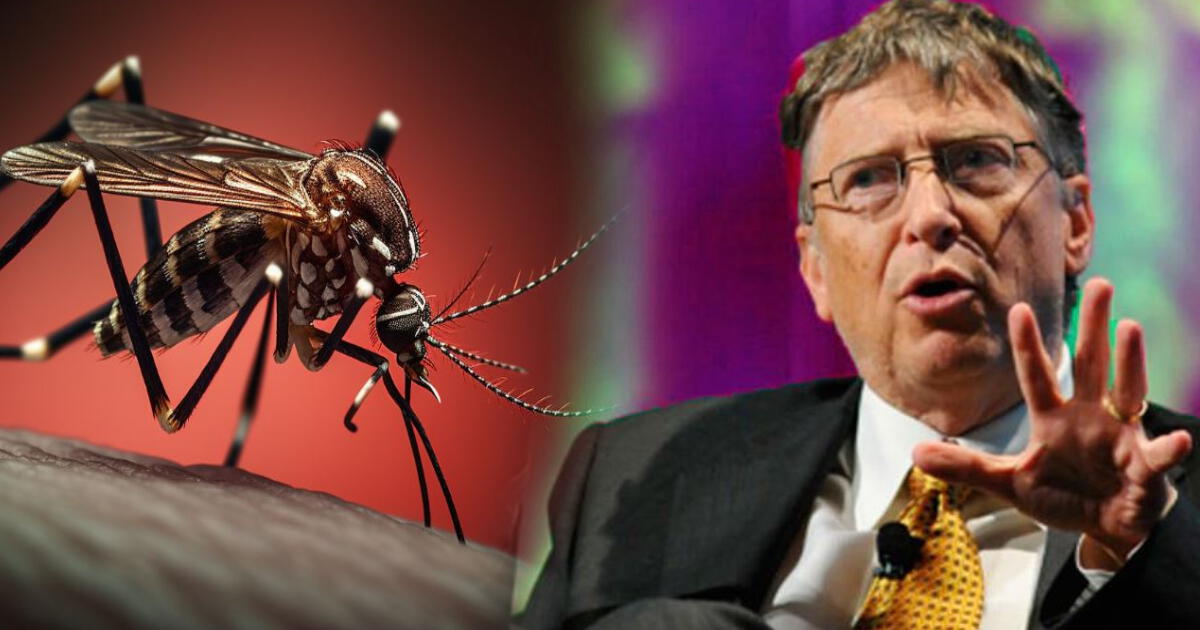 ¿Por qué muchos creen que Bill Gates propaga el dengue a Latinoamérica? La verdad de la alocada teoría
