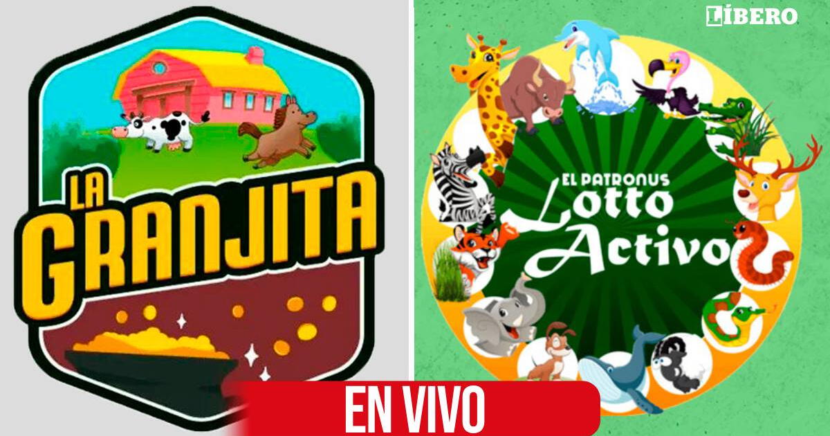 Resultado del Lotto Activo y La Granjita: animalitos que salieron el viernes 3 de mayo