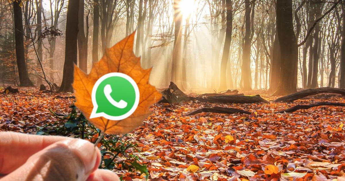 WhatsApp en 'Modo Otoño' llegó al fin: cómo activarlo de manera gratuita
