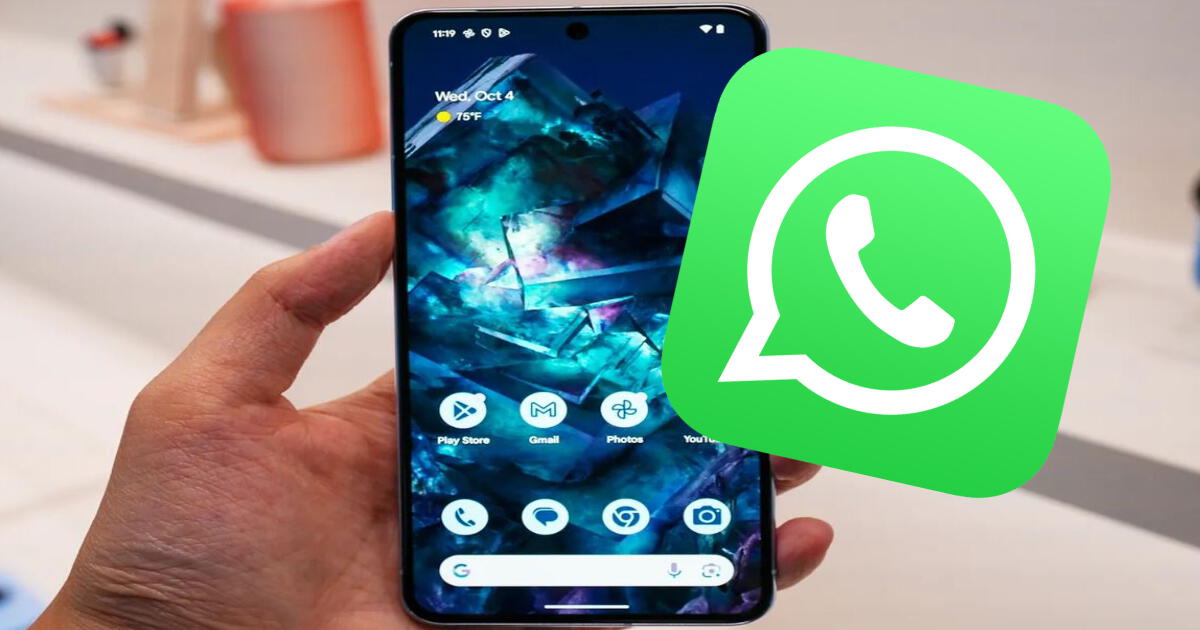 El efectivo truco de WhatsApp para activar el 'modo Kiwi' con estos sencillos pasos