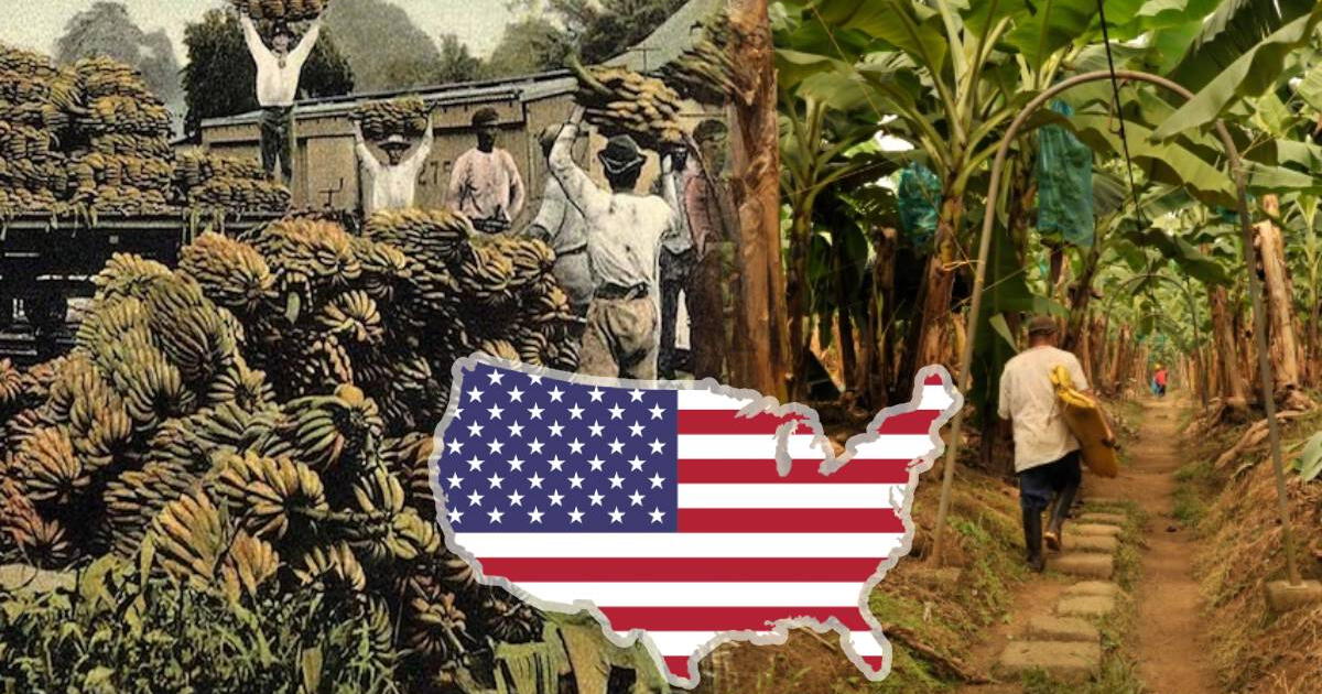 Esta es la fruta que provocó que el ejército de EEUU invada tres países latinoamericanos