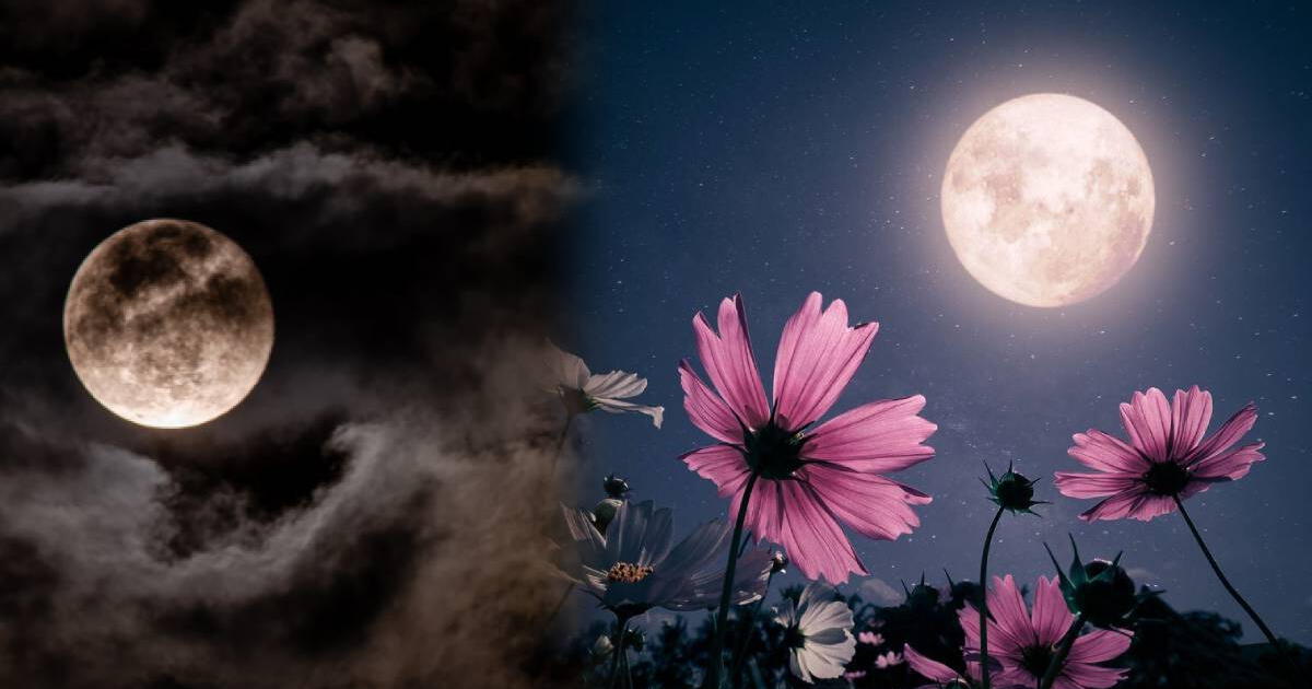 Luna de Flores: ¿Qué es y en qué países se podrá ver este fenómeno astronómico?