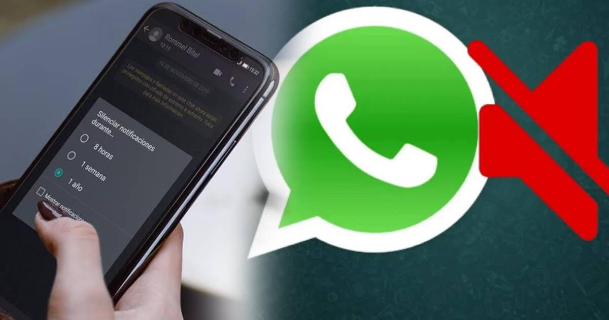 El sencillo trucazo para descubrir si estás bloqueado, archivado o silenciado en WhatsApp