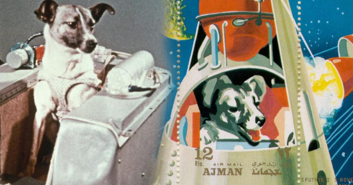 ¿Qué pasó con Laika, el primer ser vivo enviado al espacio? La IA revela cuál fue su destino