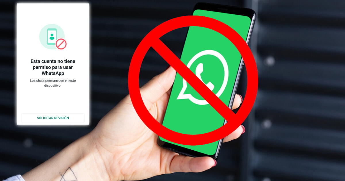 WhatsApp Plus no funciona: te enseño 5 consejos claves para solucionar cualquier error