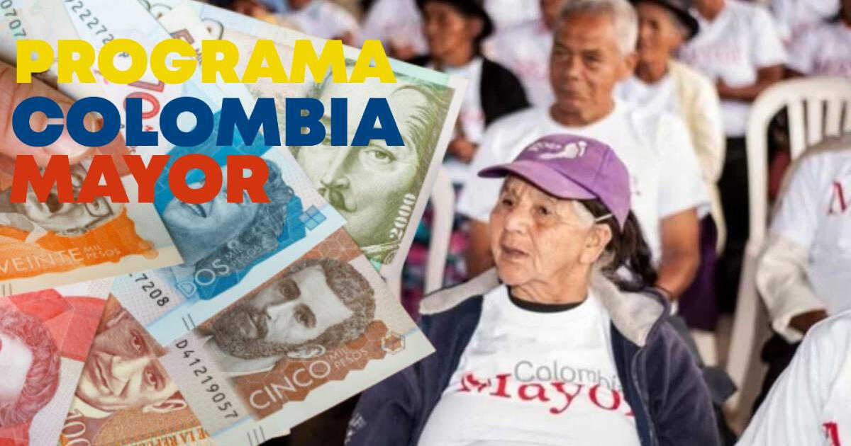 Colombia Mayor: estas son las 8 causas por las que puedes perder el subsidio