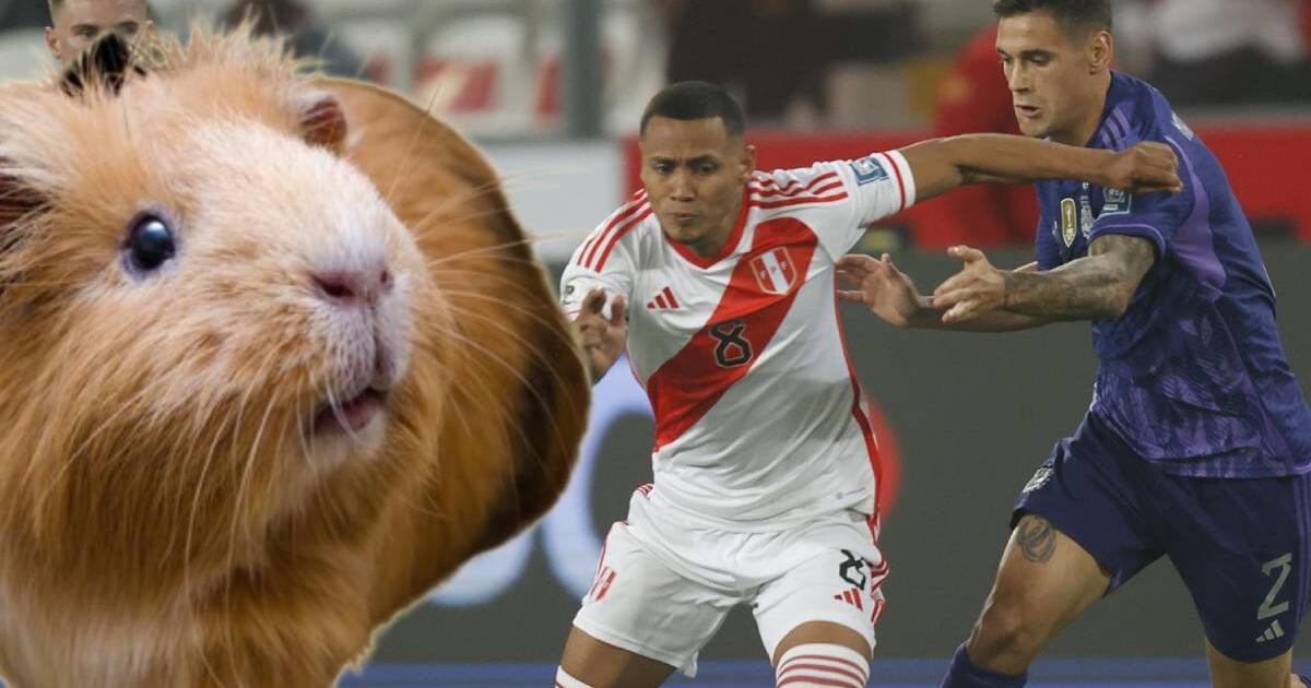 'Cuy vidente' da su predicción del Perú vs. Argentina y deja sorprendente desenlace