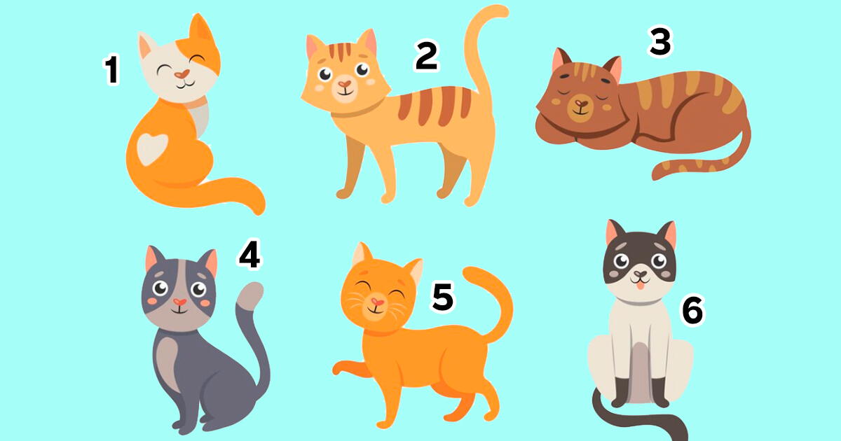El gato que prefieras del test revelará cuál es tu mejor cualidad en el ámbito laboral