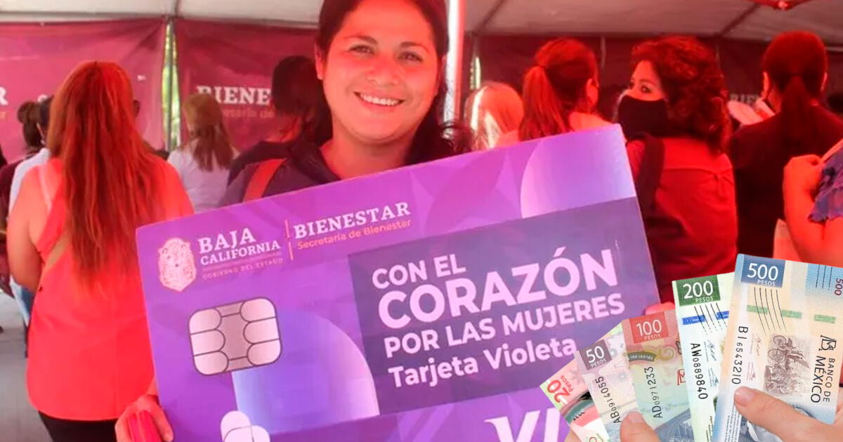 Tarjeta Violeta Bienestar 2024: GUÍA FÁCIL para registrarse y los requisitos que debes cumplir para cobrar 2,600 pesos