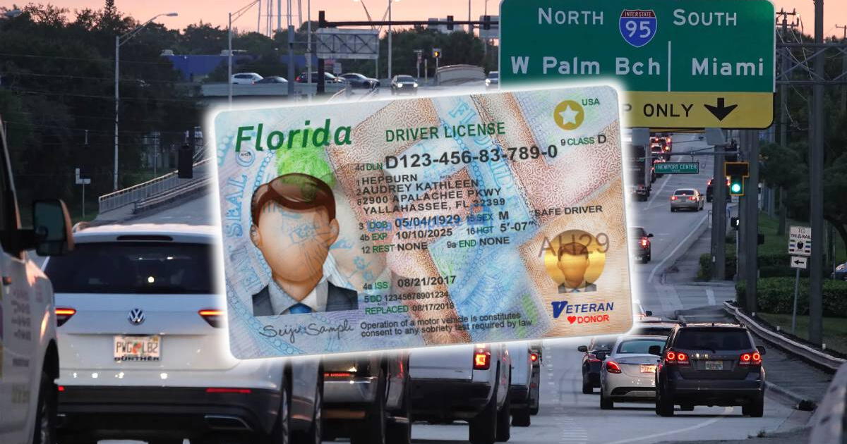 Florida anuncia IMPORTANTES CAMBIOS en las licencias de conducir: Así te impactará esta NUEVA MEDIDA