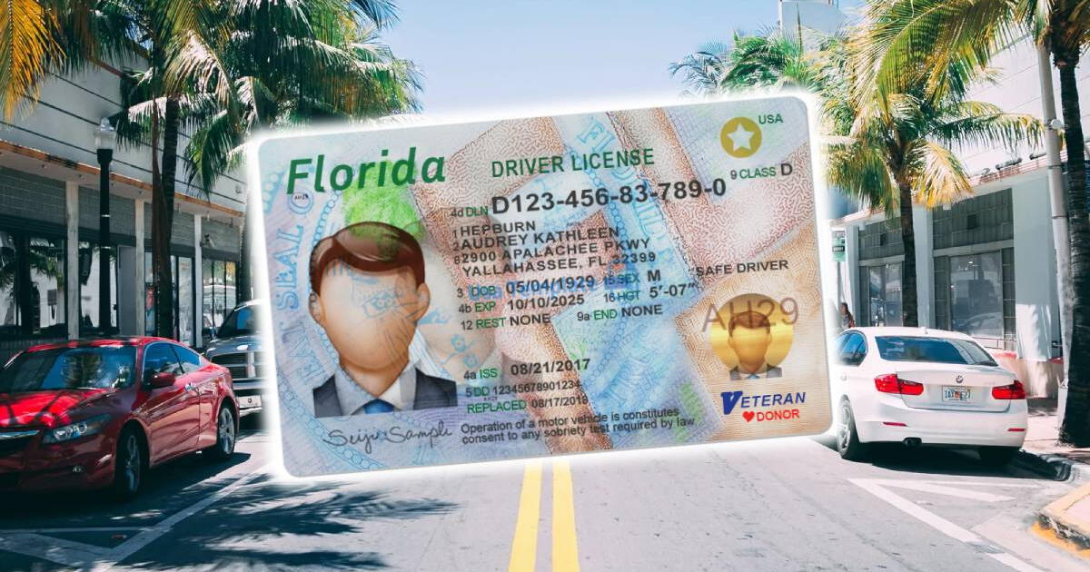 Verifica HOY el ESTATUS de tu licencia de conducir de Florida: descarta que no esté SUSPENDIDA