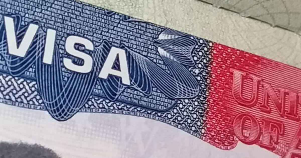 Atención inmigrantes: Si eres beneficiario del programa DACA, conoce cómo acceder a la Visa H1-B