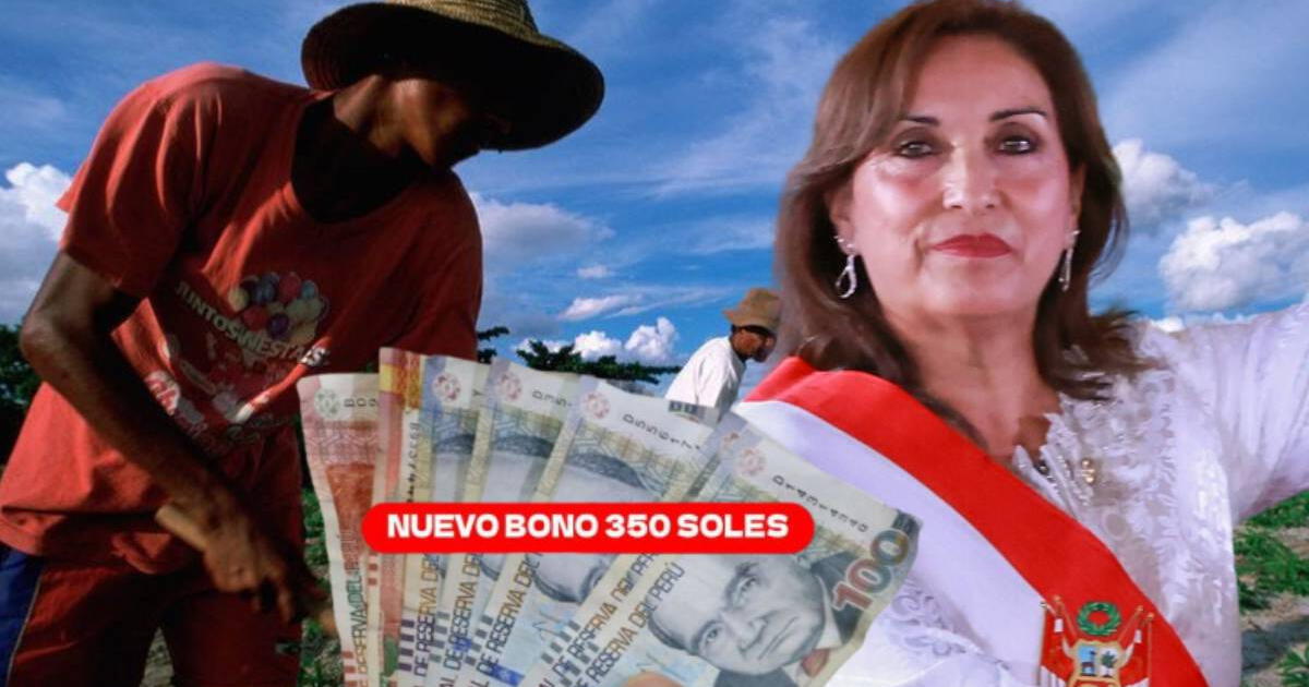 Bono 350 soles, agosto 2024: CONSULTA si hay NUEVO PADRÓN de beneficiarios para el pago este mes