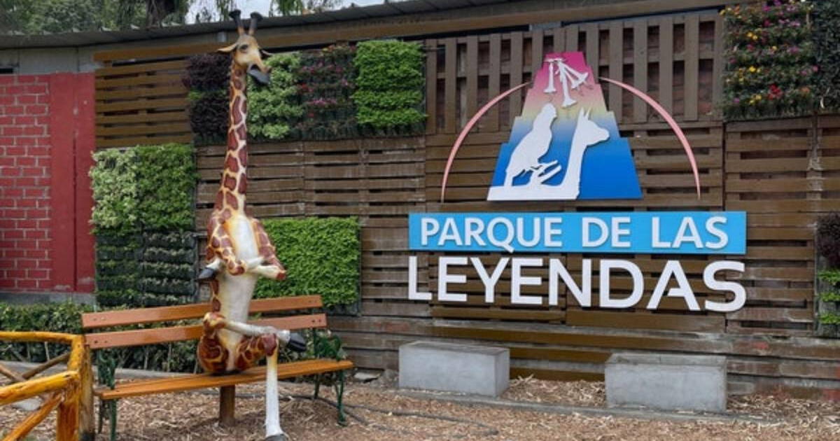 Ingreso GRATIS al Parque de las leyendas este domingo 18 de agosto: quiénes acceden al beneficio