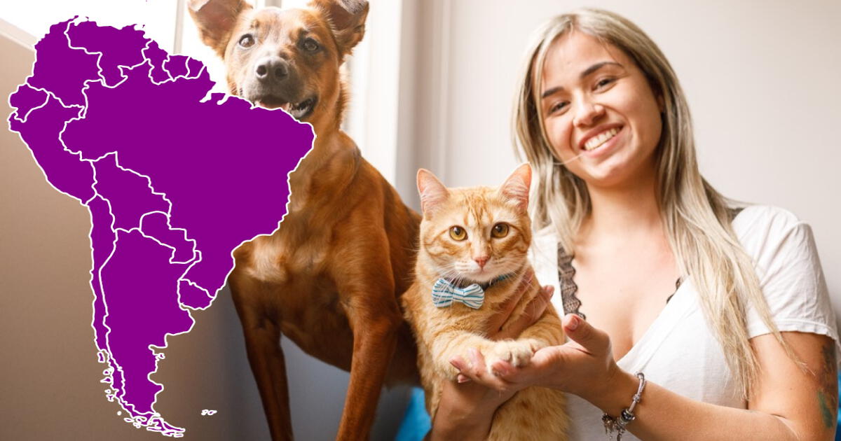 El país de Sudamérica que tiene más mascotas en el mundo, incluso superando a Estados Unidos y China