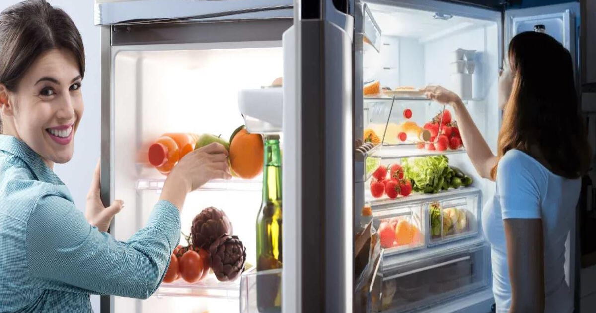 El infalible y probado TRUCO para AHORRAR dinero y luz utilizando inteligentemente la refrigeradora