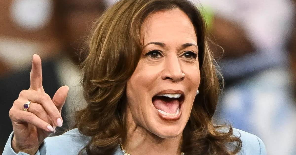 Elecciones EE.UU.: Kamala Harris y su buena noticia para pequeños empresarios