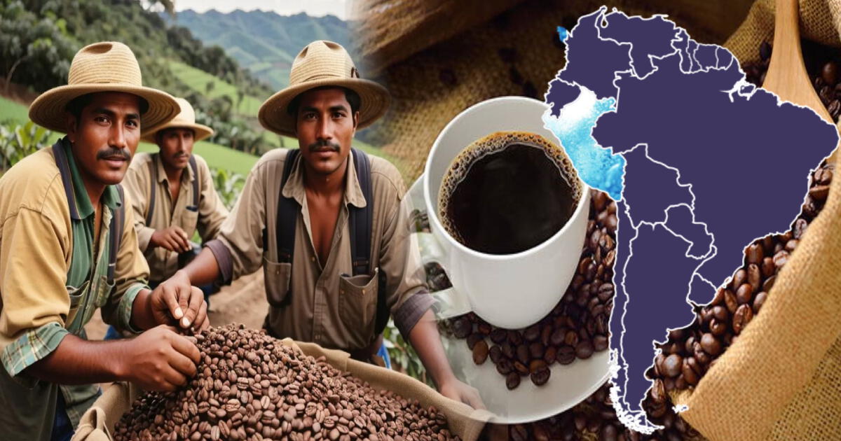 Este país de Sudamérica es el mayor productor de café del mundo: no es Perú ni Colombia